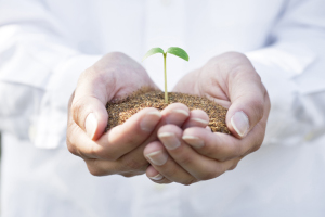 �X���C���[�W